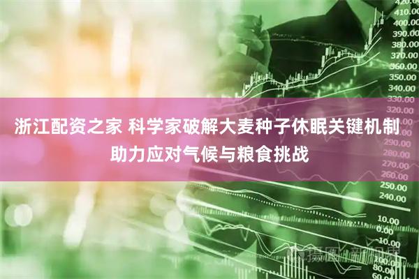浙江配资之家 科学家破解大麦种子休眠关键机制 助力应对气候与粮食挑战