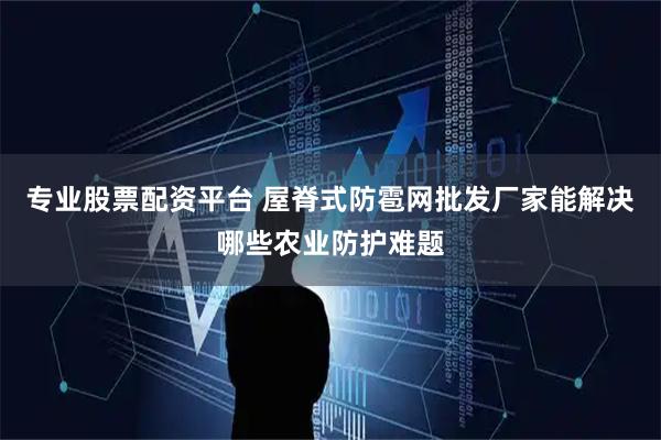 专业股票配资平台 屋脊式防雹网批发厂家能解决哪些农业防护难题